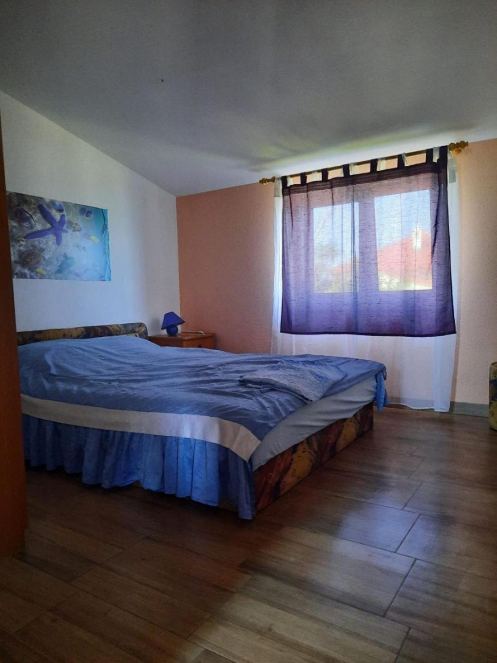 נין Apartments Visnja מראה חיצוני תמונה